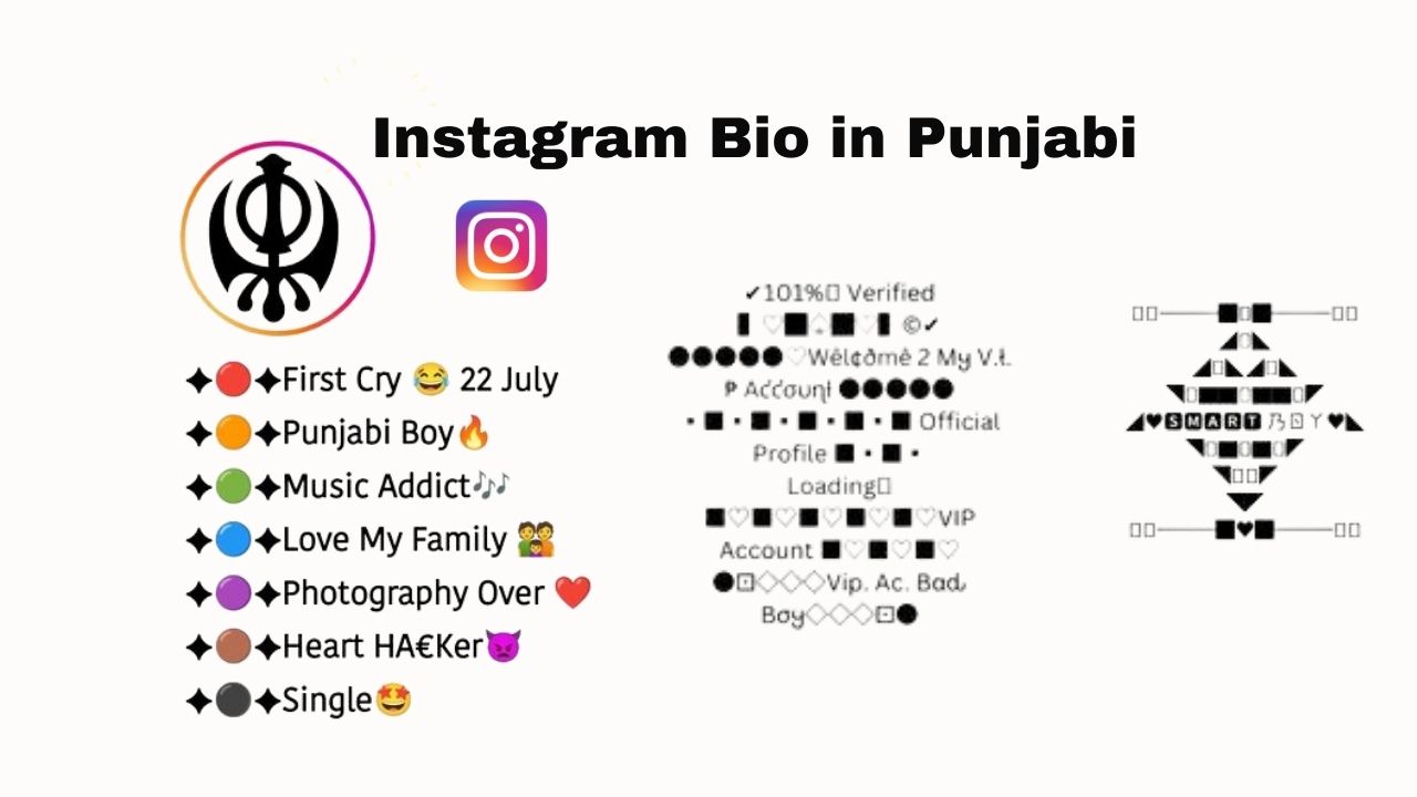 Instagram Bio in Punjabi