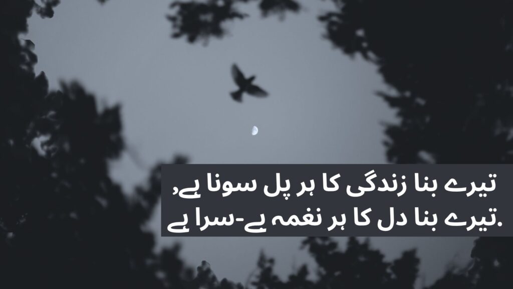 Sad Shayari in Urdu