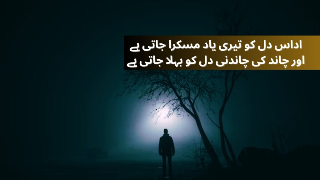 Good Night Shayari in Urdu