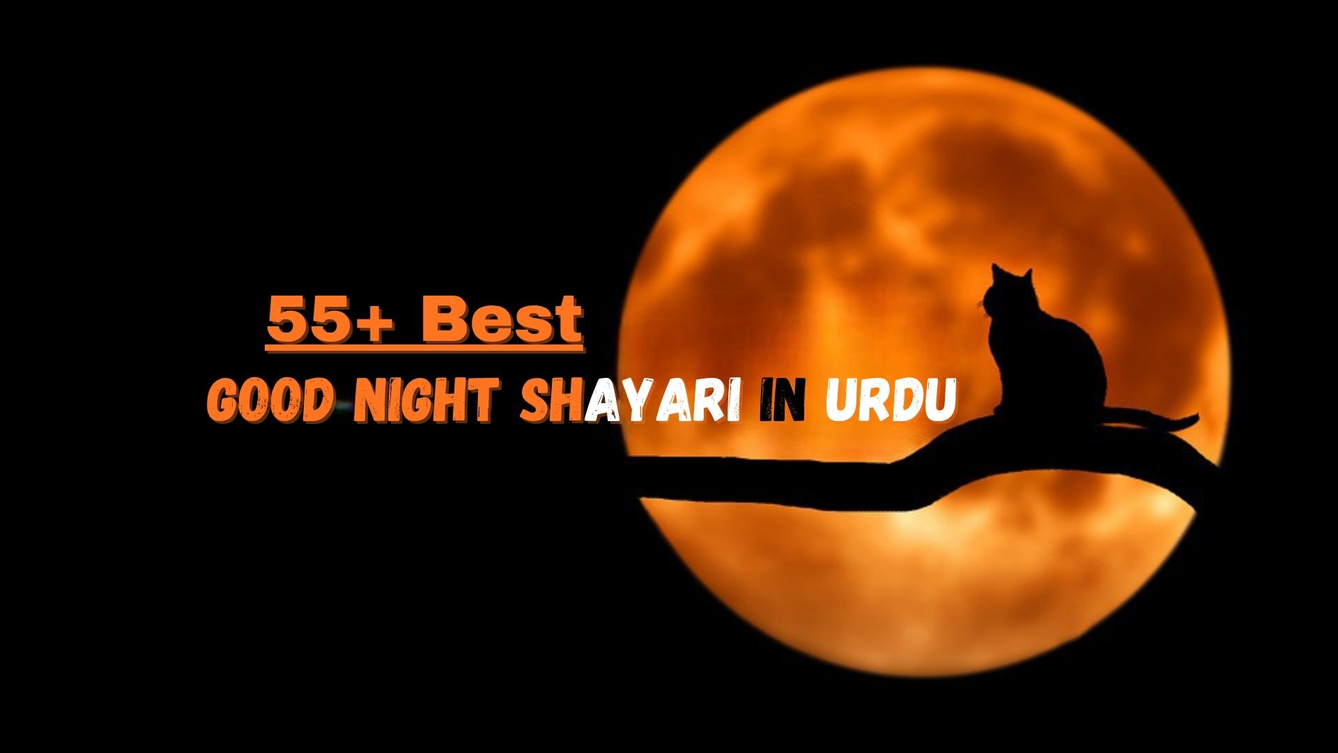 Good Night Shayari in Urdu